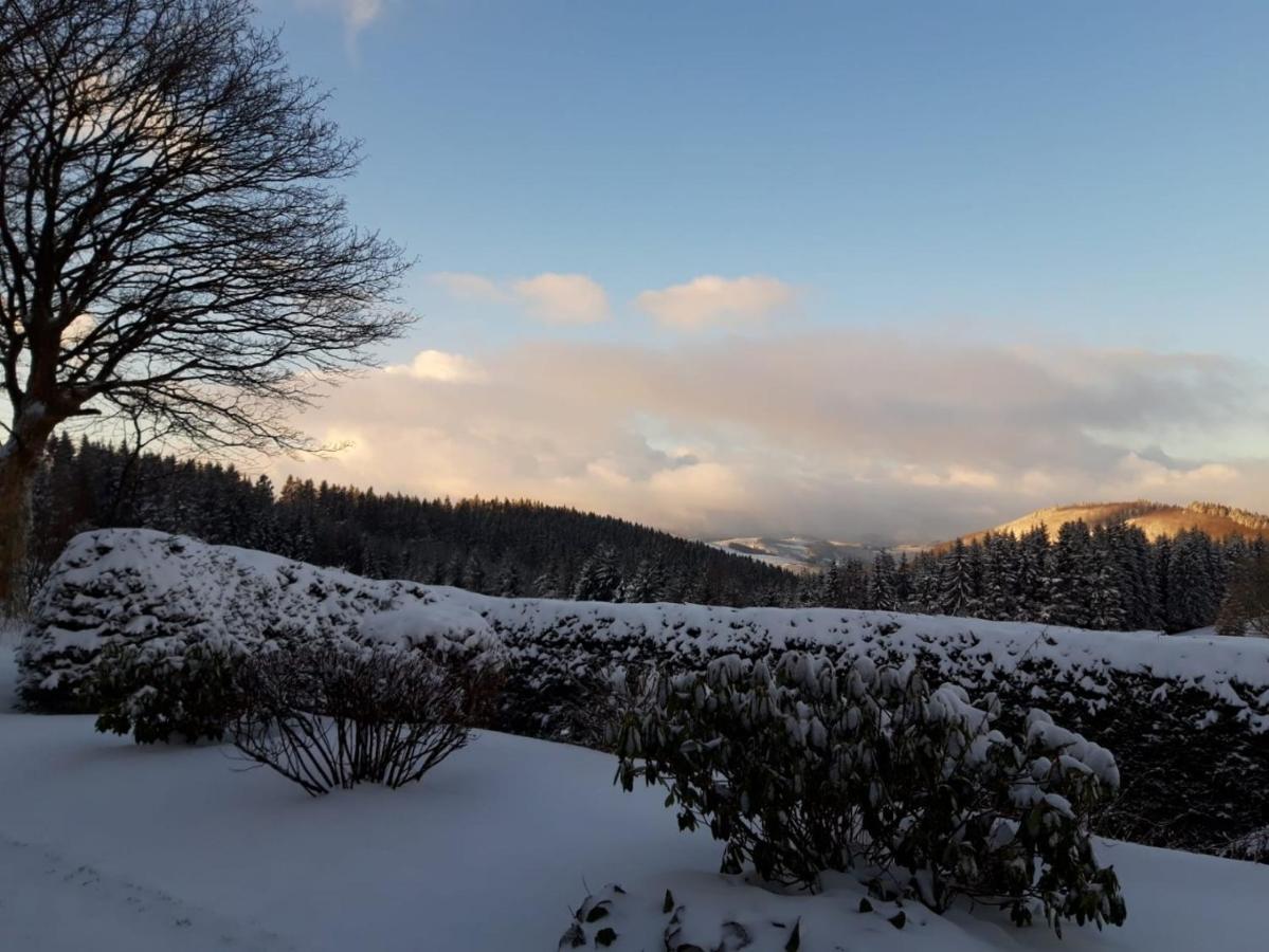 Ferienwohnung Lenneplaetze Winterberg Zewnętrze zdjęcie